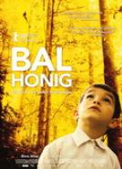 Bal - Honig