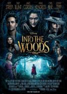 <b>Emily Blunt</b><br>Into the Woods (2014)<br><small><i>Into the Woods</i></small>