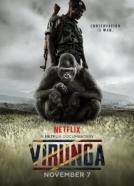 Virunga (2014)<br><small><i>Virunga</i></small>