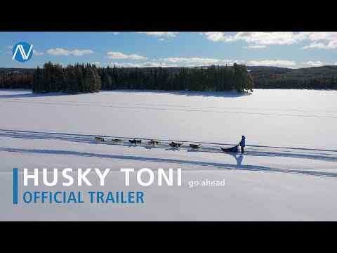 Husky Toni go ahead - trailer