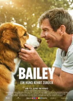 Bailey - Ein Hund kehrt zurück