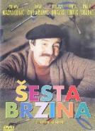 Sesta brzina