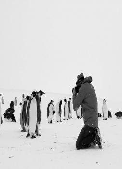 Rückkehr zum Land der Pinguine