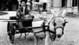 Ausschnitt aus dem Film - Peggy Guggenheim - Ein Leben für die Kunst