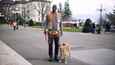 Ausschnitt aus dem Film - Hundschuldig
