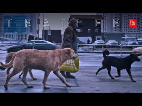 Dreaming Dogs - trailer