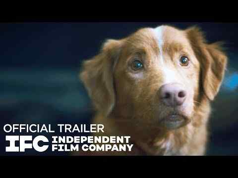 Good Boy - trailer 1