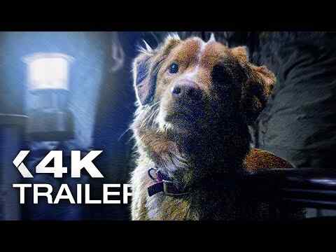 Good Boy - trailer 1